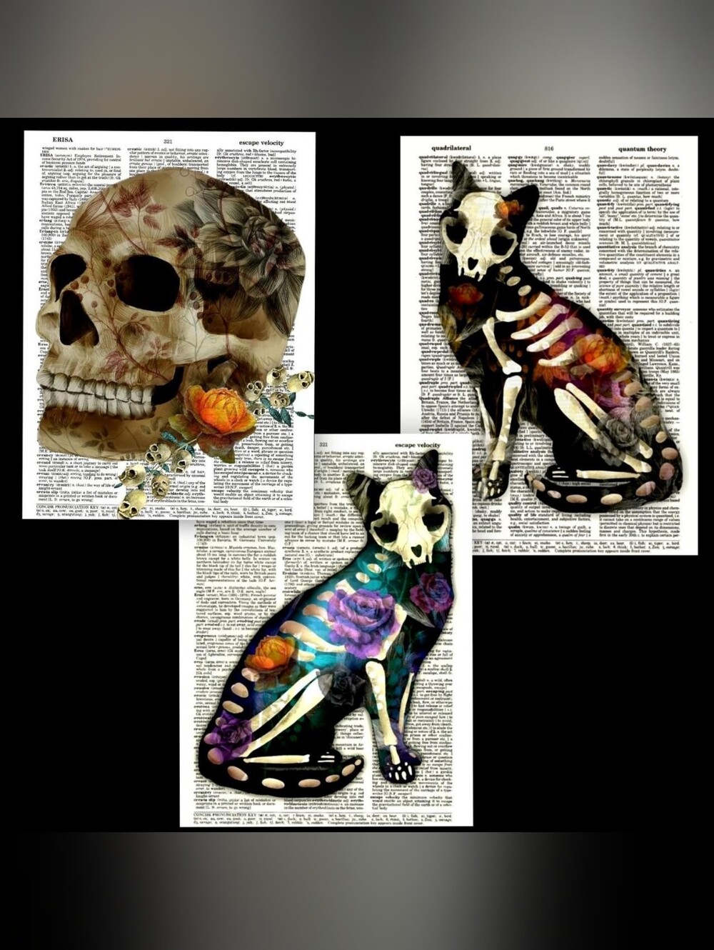 Boho Floral Halloween Bundle Anatomy Skull Cats Autumn Everyday is Halloween